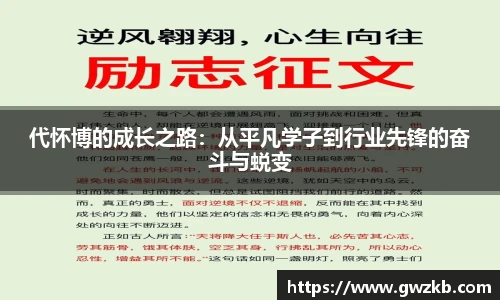 星空入口免费网站